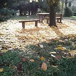 Casale Fabrizi Agriturismo Çiftlik konaklama *