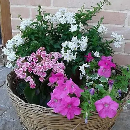 Casale Fabrizi Agriturismo Farmház *