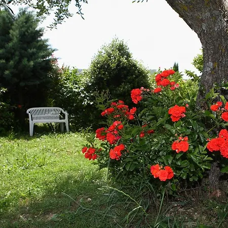 ファームステイ Casale Fabrizi Agriturismo チンゴリ