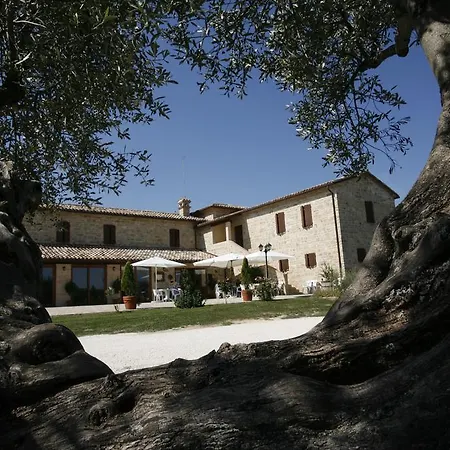 ファームステイ Casale Fabrizi Agriturismo チンゴリ